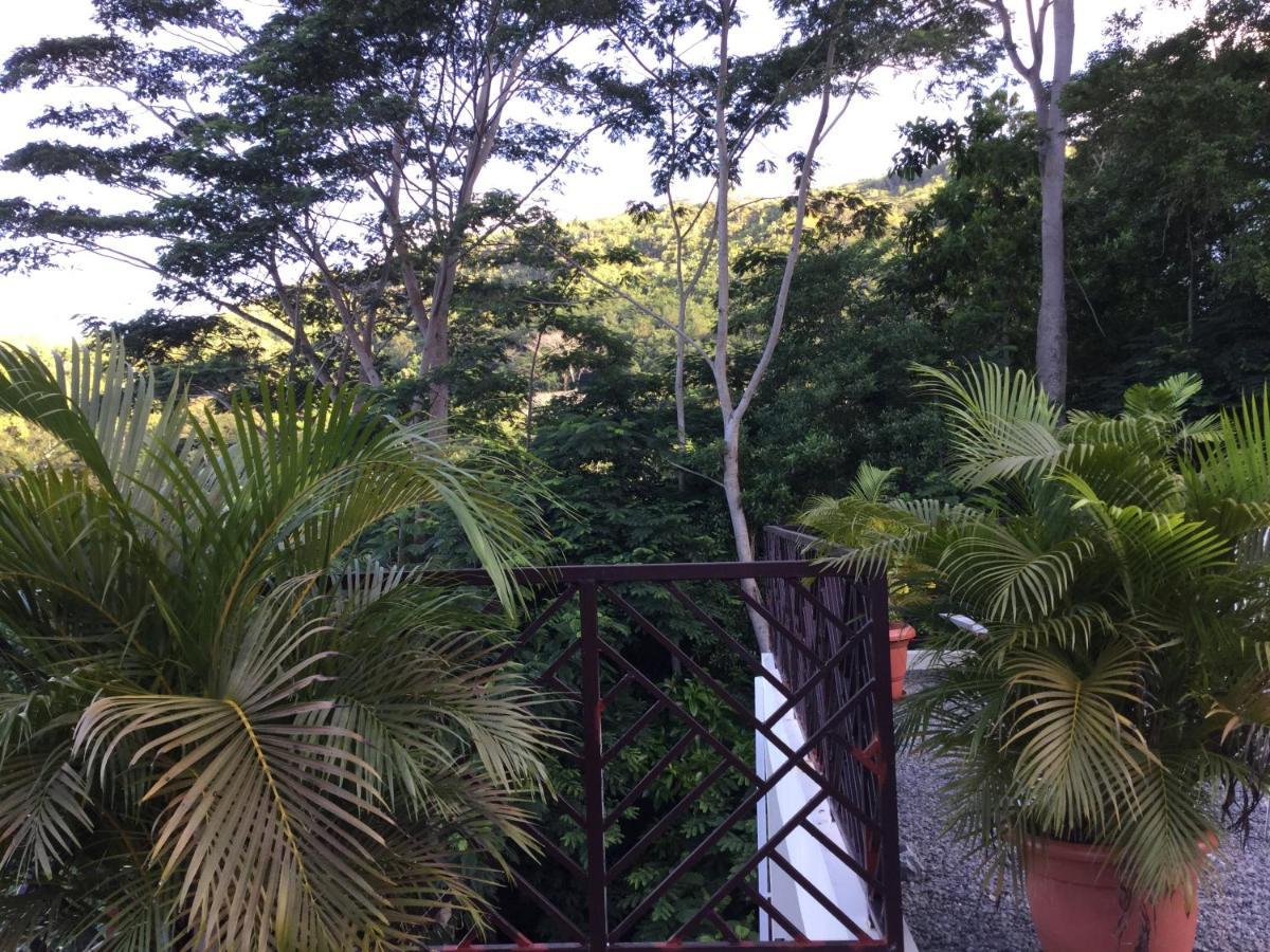 Bougainvillas Seychelles Anse Royale Zewnętrze zdjęcie