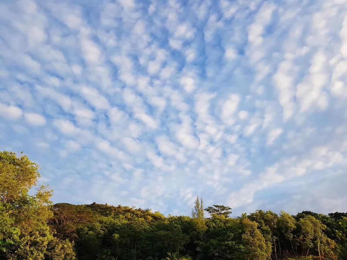 Bougainvillas Seychelles Anse Royale Zewnętrze zdjęcie